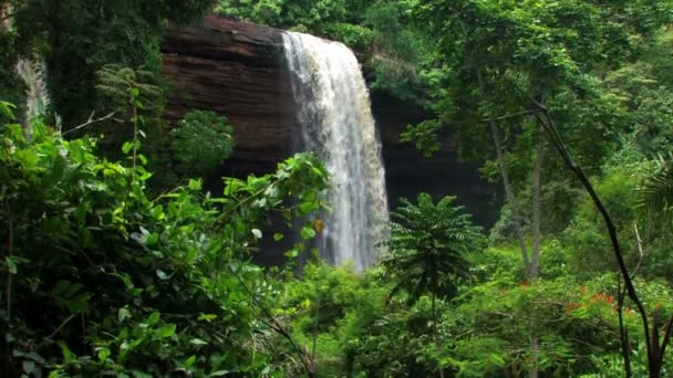 Cascada desde un acantilado rodeado de vegetación . — Vídeos de Stock