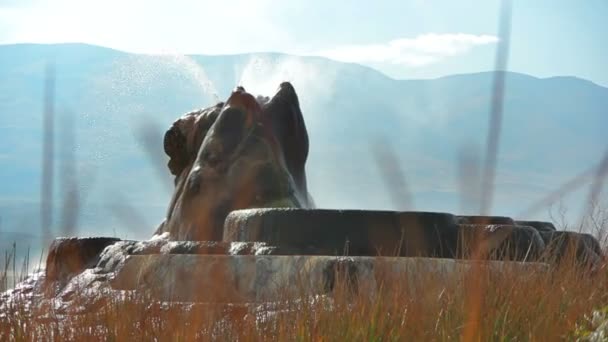 Fly Geyser zoals gezien door hoog voorgrond gras — Stockvideo