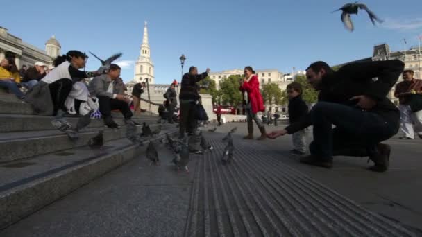 Människor på Trafalgar Square i London — Stockvideo