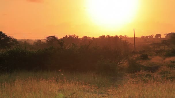 Zonsondergang over een veld in Kenia. — Stockvideo