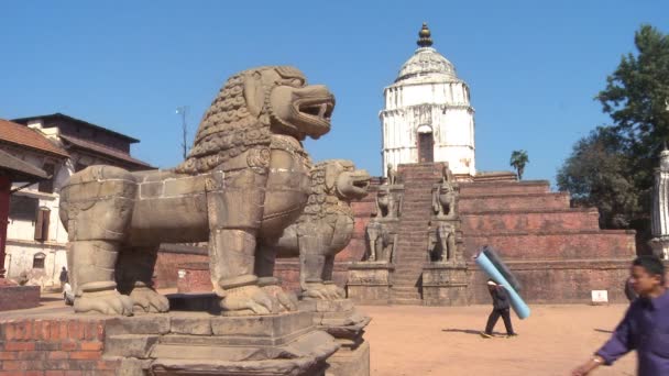 Standbeelden van draken tempel in Nepal — Stockvideo