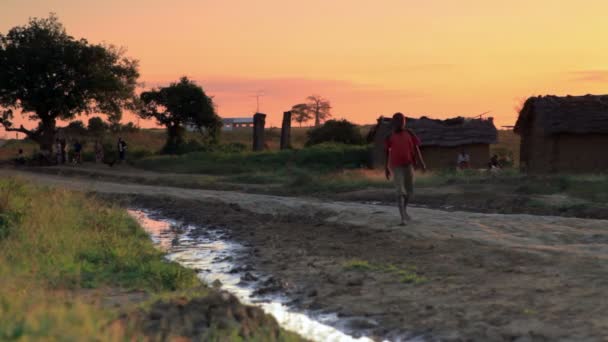 Anak laki-laki berjalan di jalan tanah saat matahari terbenam — Stok Video