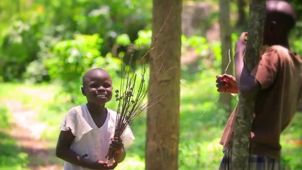 Dvě malé africké děti hrají, smáli se a ruší se před kamerou v lese — Stock video