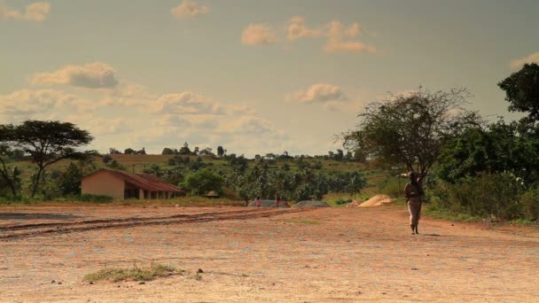 Mujer keniata caminando con un bebé en la espalda . — Vídeos de Stock