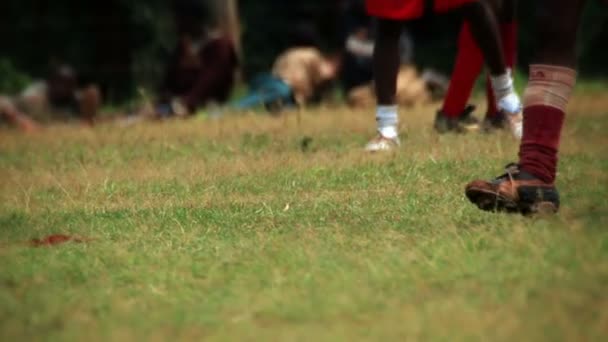 非洲儿童在绿草如茵的球场上走来走 — 图库视频影像