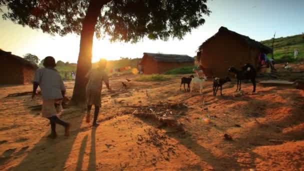 Kids near a village in Kenya. — Stock Video