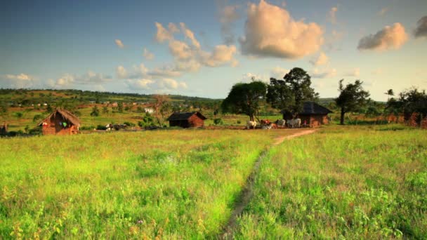Село в Кении к северу от Момбасы . — стоковое видео