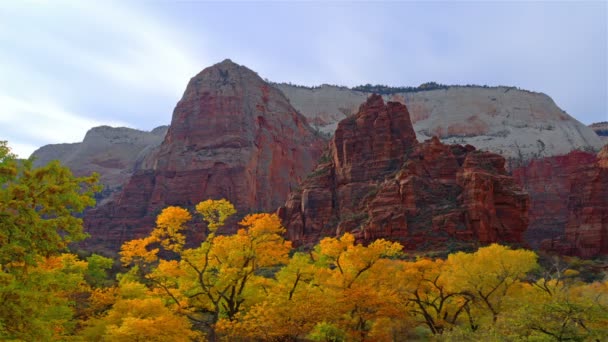 Parco nazionale di Zion nello Utah — Video Stock