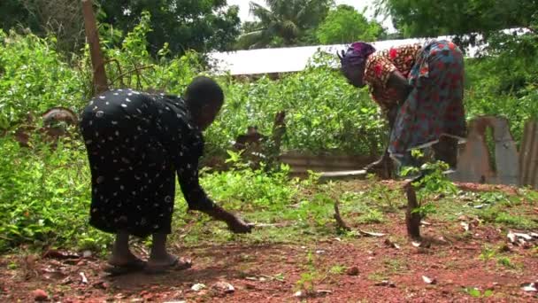 Mädchen arbeitet mit ihrer Oma im Garten — Stockvideo