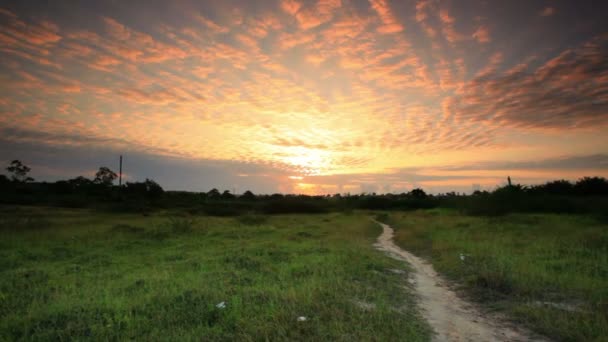 在肯尼亚的一个村庄附近的日出. — 图库视频影像