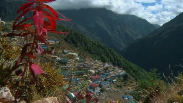 Flores blancas en el viento en las laderas sobre Namche Bazaar en Nepal . — Vídeos de Stock