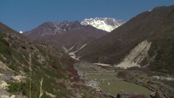 Çitler bir vadide Nepal Himalayalar taş duvar. — Stok video