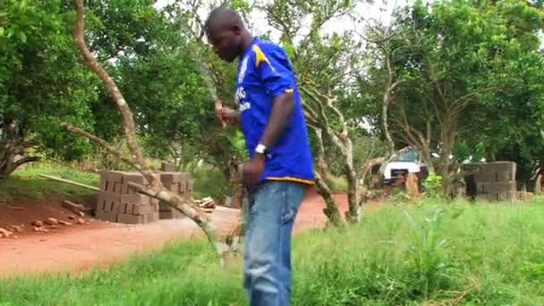 Grass being cut in Africa. — Stock Video