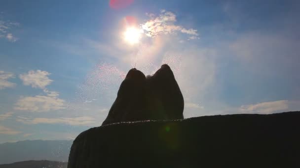 Камни с солнцем позади на Fly Geyser в Неваде — стоковое видео