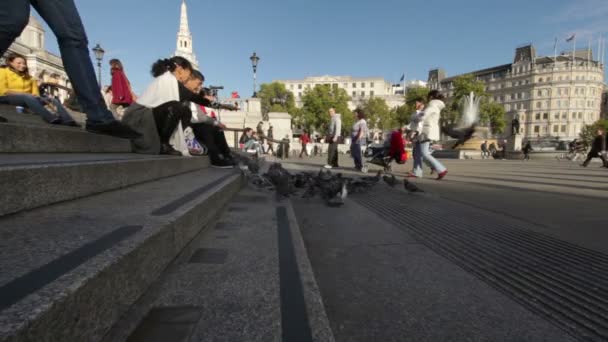 Ludzie na Trafalgar Square w Londynie — Wideo stockowe