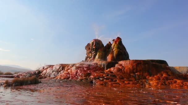 Fly Geyser in Nevada — Stockvideo