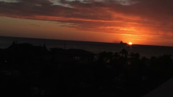 Palm pohon dan laut saat matahari terbenam — Stok Video