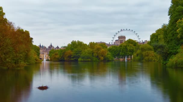 Saint James Park waterway in London — Stock Video