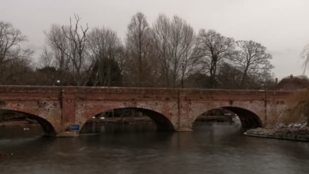 Schwenk-Zeitraffer von Schwänen auf dem Fluss avon in Stratford-upon-avon, England. — Stockvideo