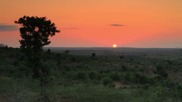 Matahari terbenam di cakrawala di Kenya . — Stok Video