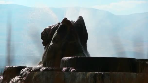 Fly Geyser zoals gezien door hoog voorgrond gras — Stockvideo