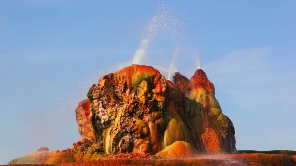 Fly Geyser in Nevada — Stockvideo