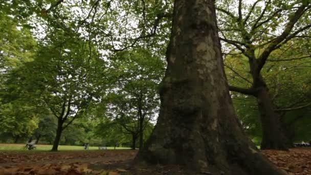 Green Park στο Σύνταγμα λόφο στο Λονδίνο — Αρχείο Βίντεο