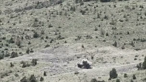 Plan à longue distance de l'explosion dans l'exercice d'entraînement — Video