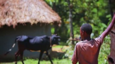 Kenya villlage sahnede