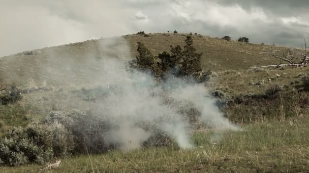 Тренування вибухового свистка і вибухнути спалахом — стокове відео