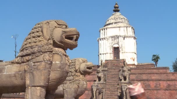 Статуи драконов в храме Непала — стоковое видео