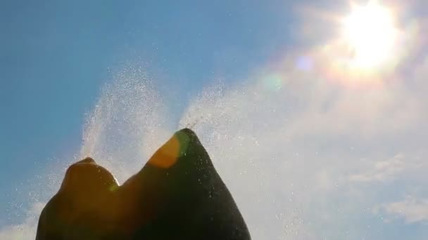 Fly Geyser in Nevada — Stock Video