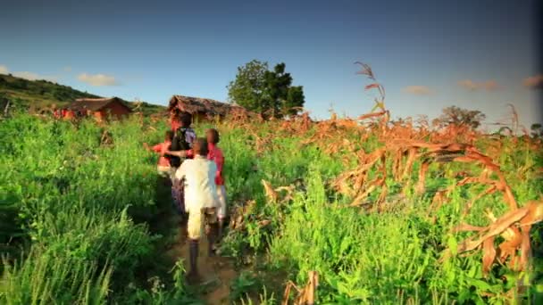 Ungdom nära en by i Kenya. — Stockvideo