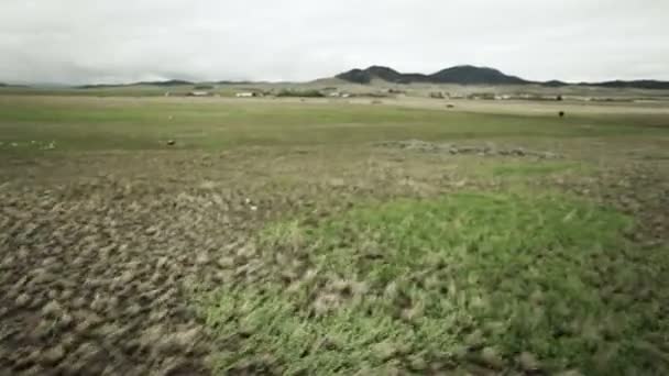 Helicóptero aterrizando en el campo — Vídeo de stock