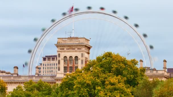 London Eye sedd från en damm i Saint James Park — Stockvideo