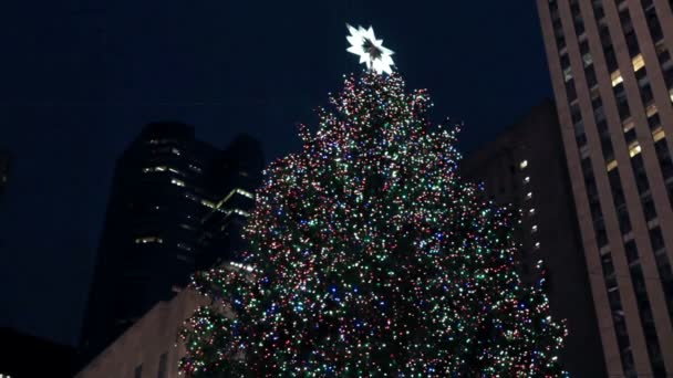 Christmas tree with a crowd of people in New York. — Stock Video