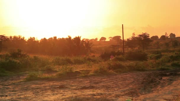 Lány séta az iskolába, Kenyában, napkeltekor. — Stock videók