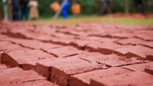 Extreme close up of red bricks drying in the sun; a boy adds more to the rows — Stock Video