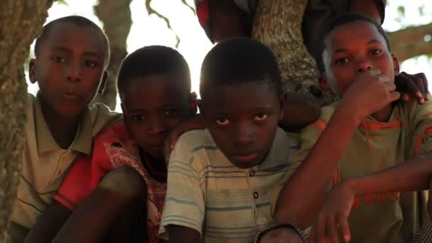 Des enfants assis dans un arbre regardant la caméra au Kenya . — Video