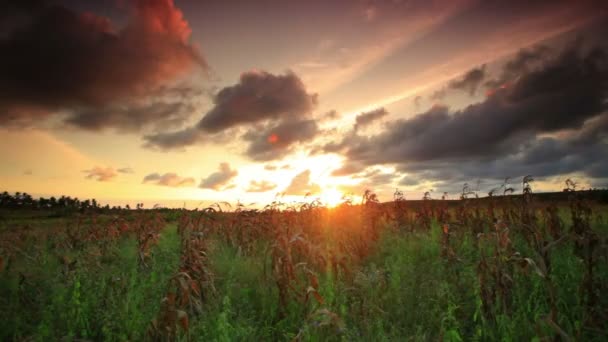 Atardecer de lapso de tiempo cerca de un pueblo en Kenia . — Vídeos de Stock