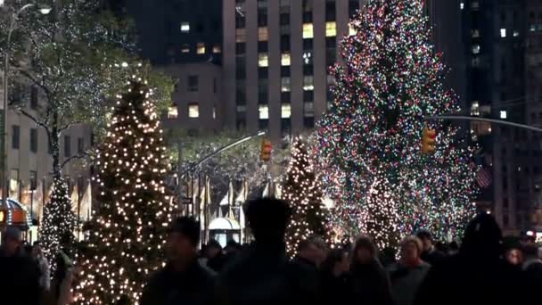 Calle decorada con árbol de Navidad — Vídeos de Stock