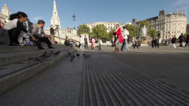 Personnes sur Trafalgar Square à Londres — Video