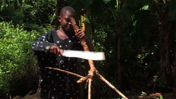 Flickan som slår en pinne med en machete — Stockvideo