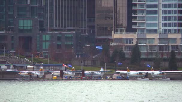 Vijf water vliegtuigen aangemeerd in de haven van Vancouver — Stockvideo