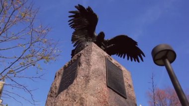 Washington'da bir kartal tarihi heykeli