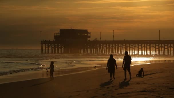 As pessoas caminham na praia — Vídeo de Stock