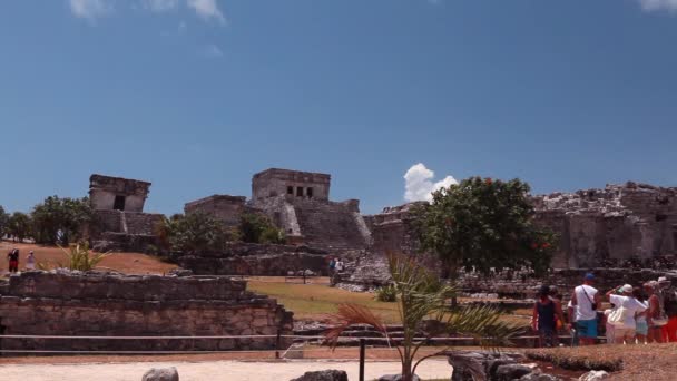 Imagen estática de medio ancho de un edificio antiguo con escaleras, árboles y personas . — Vídeos de Stock