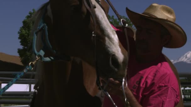Ковбой, поклавши вуздечка на коні — стокове відео