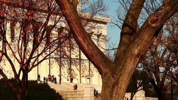 Statyczne ujęcie pomnika Lincolna z drzewa na pierwszym planie w Waszyngtonie — Wideo stockowe
