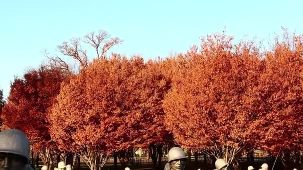 Statuen am Denkmal für koreanische Kriegsveteranen — Stockvideo